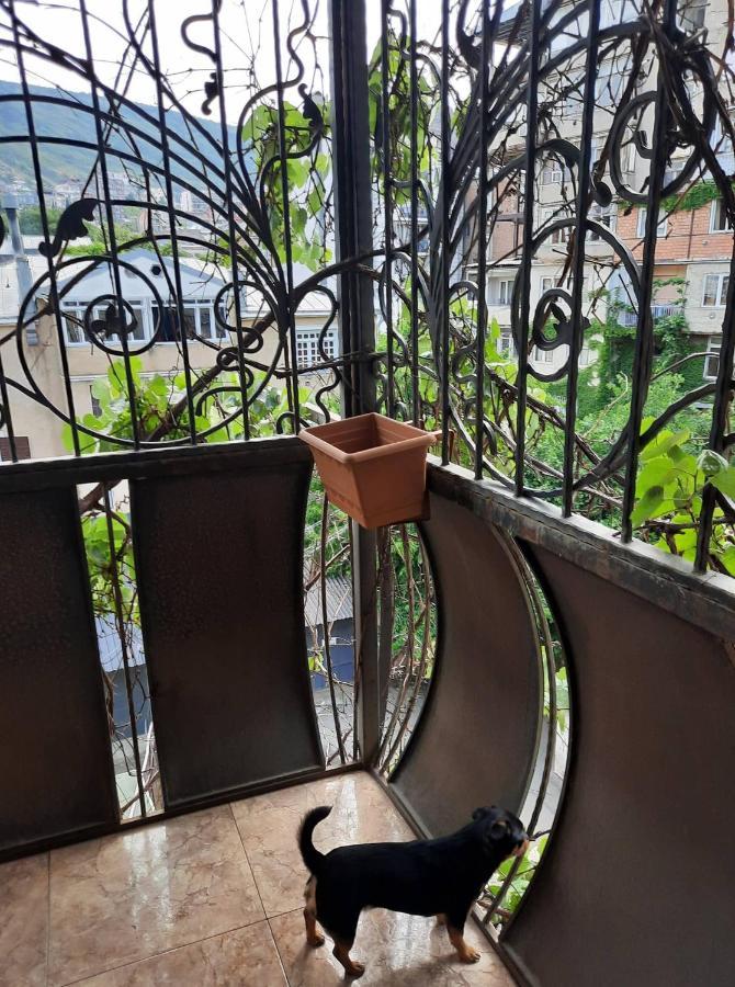 Tbilisi Philharmonia Apartment Ngoại thất bức ảnh